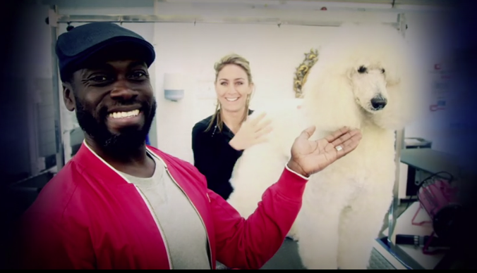 Dog Grooming As Seen on TV