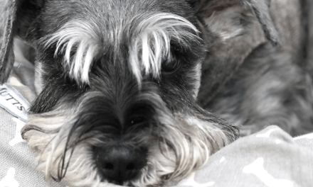 Discover ARTERO at Furst Class Lounge