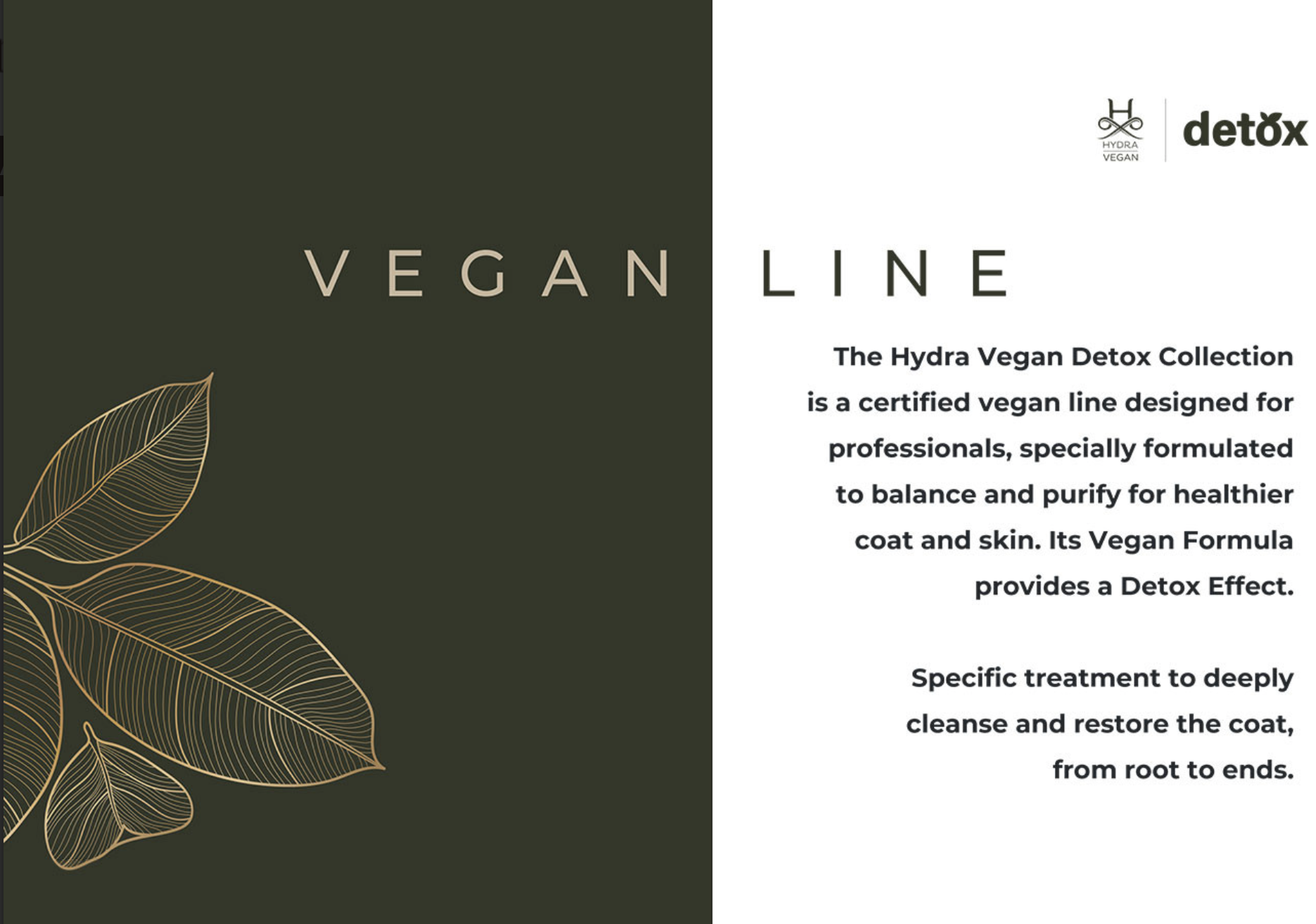 Hydra Spa Vegan detox